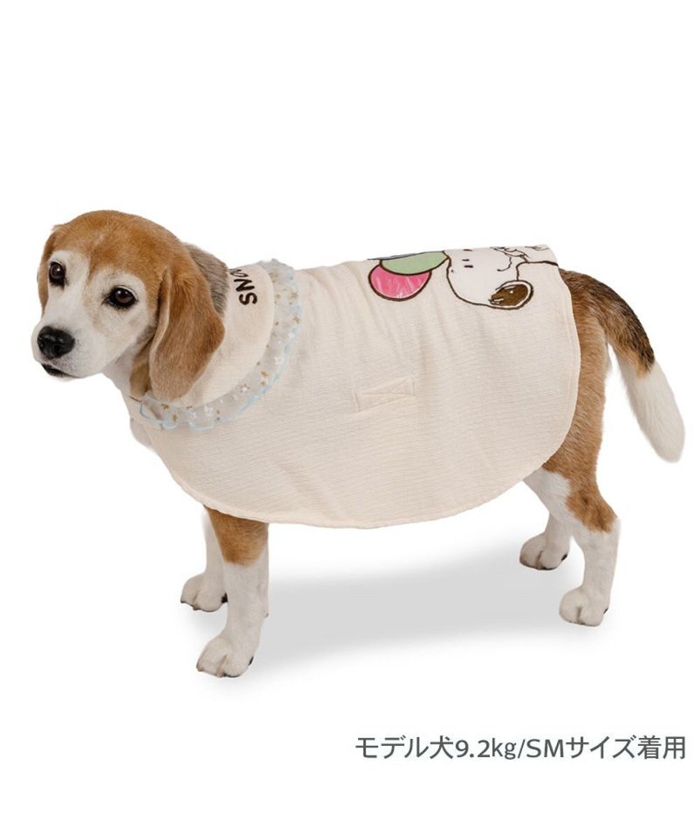 PET PARADISE スヌーピー バースデー ポンチョ 中型犬 大型犬 