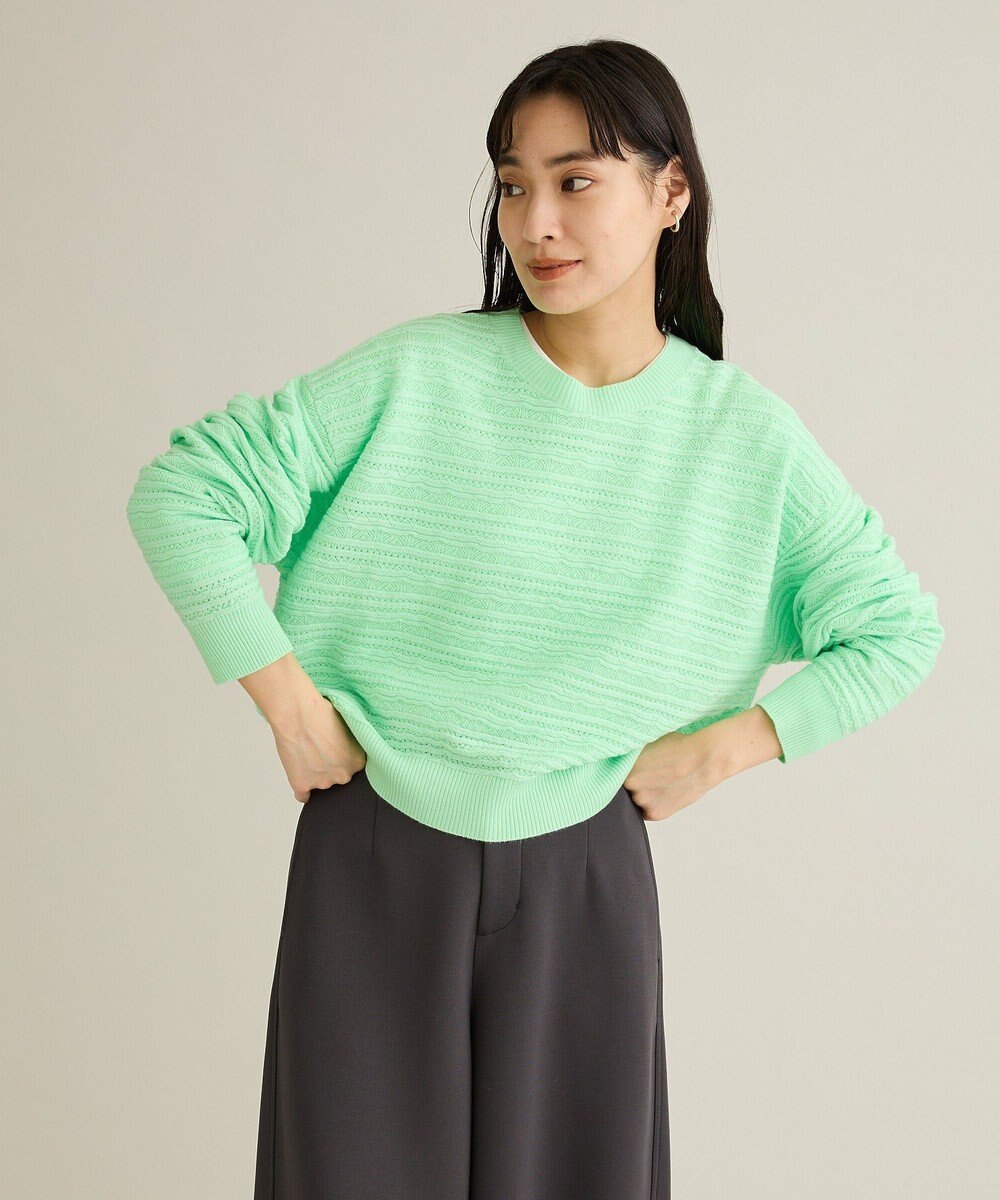 CRAFT STANDARD BOUTIQUE レースボーダーニットプルオーバー 