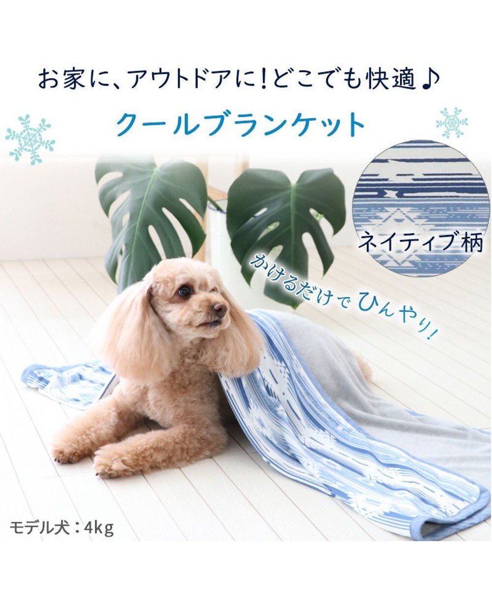 PET PARADISE ペットパラダイス クールブランケット 単品 (90×60cm)  《 苺柄 / ネイティブ柄 》 