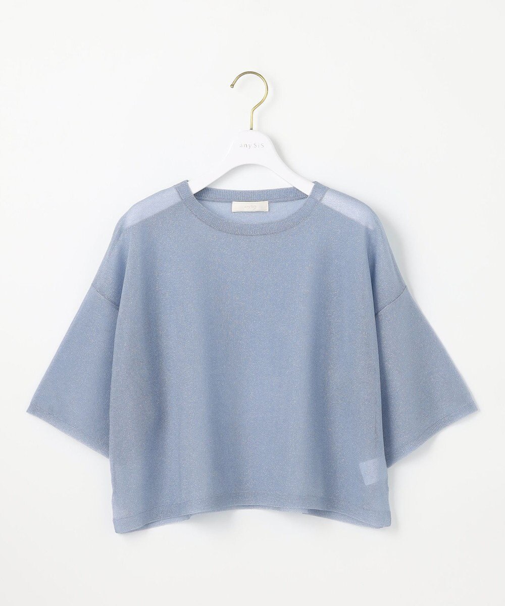 ANY SIS L 【洗える】シアー ニットT 