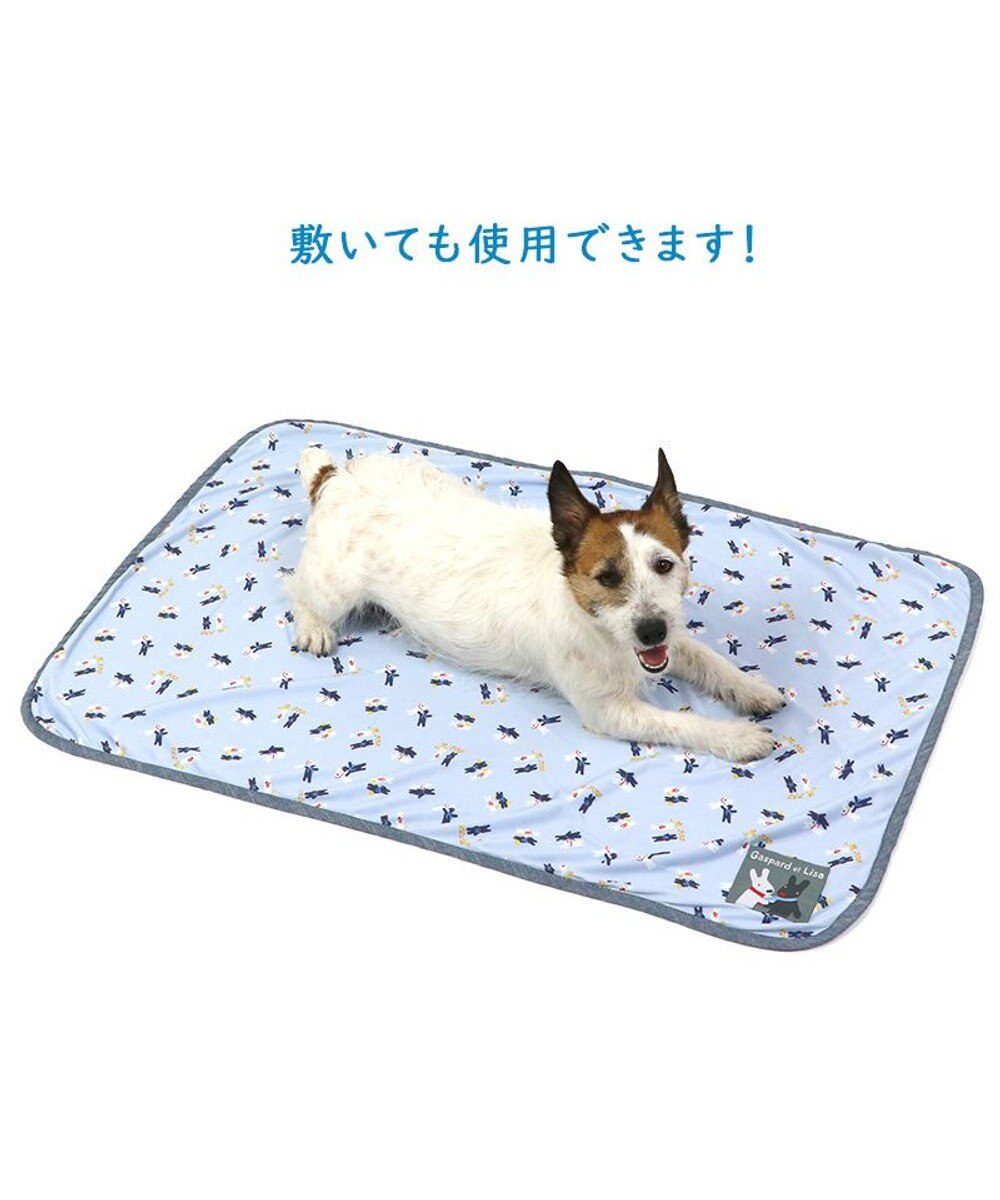 PET PARADISE リサとガスパール クールブランケット (90×60cm) 