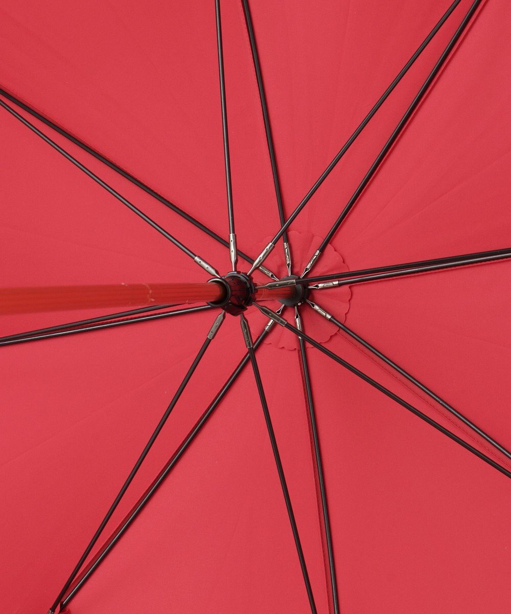 MOONBAT POLO RALPH LAUREN （ポロ ラルフローレン）長傘 RAIN BEAR 