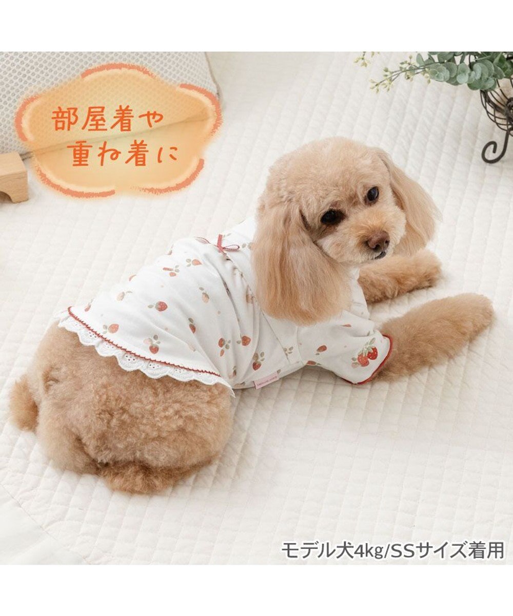 PET PARADISE ペットパラダイス ペティヒート天竺 Tシャツ 《いちご》 超小型犬 小型犬 