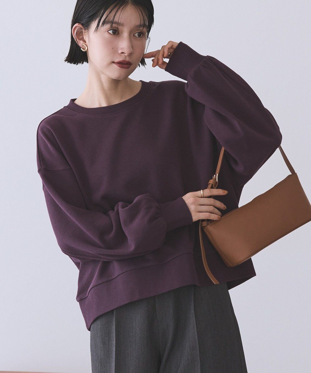 AMERICAN HOLIC 裏毛クロップドプルオーバー 