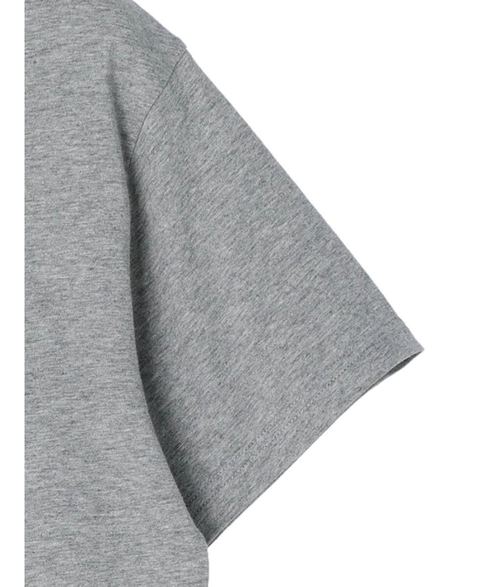 Green Parks ■ＪＵＲＡＳＳＩＣ　ＰＡＲＫ　Ｍｒ．　ＤＮＡ　Ｔ 