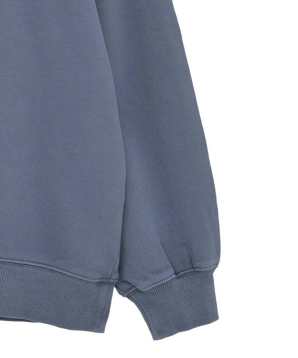 Green Parks ・ＤＯＵＢＬＥ　ＦＬＡＧＳ　カットオフピグメントスウェ 