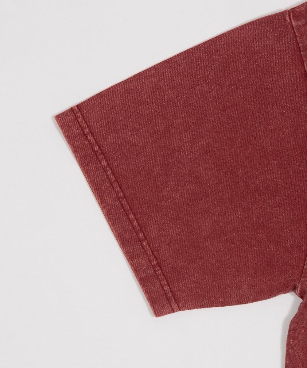 WEGO グラフィックBIG　T（SS） 