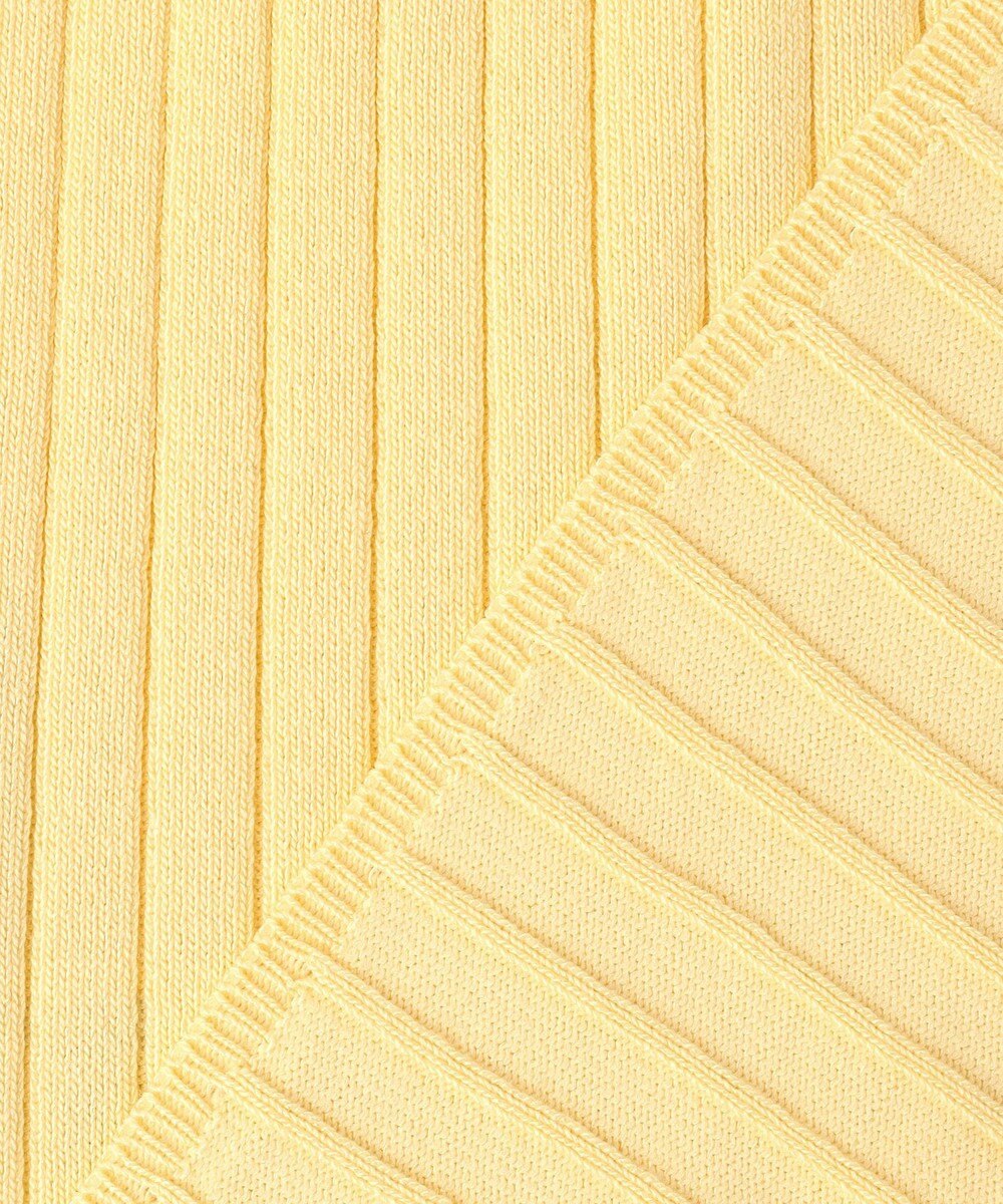 ANY SIS ポロカラーリブ ニット 