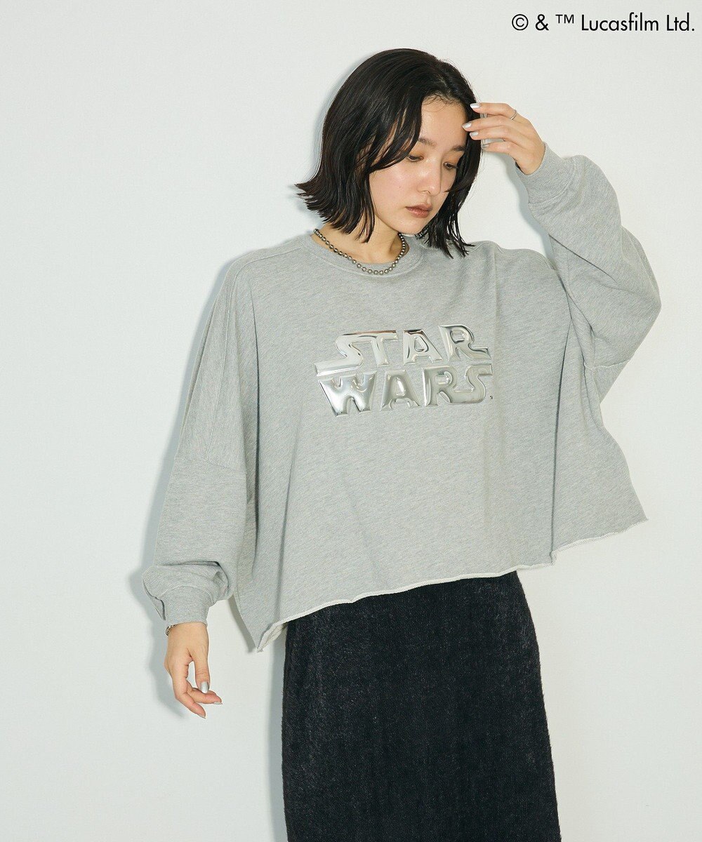 Green Parks ＳＴＡＲ　ＷＡＲＳ／メタルプリントスウェット 