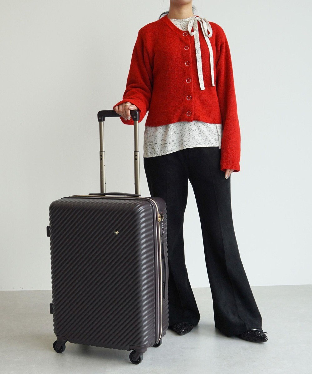 ACE BAGS & LUGGAGE 【雑誌掲載】 HaNT×Jewelna Rose コラボ スーツケース Mサイズ 06822 ハント ジュエルナローズ 