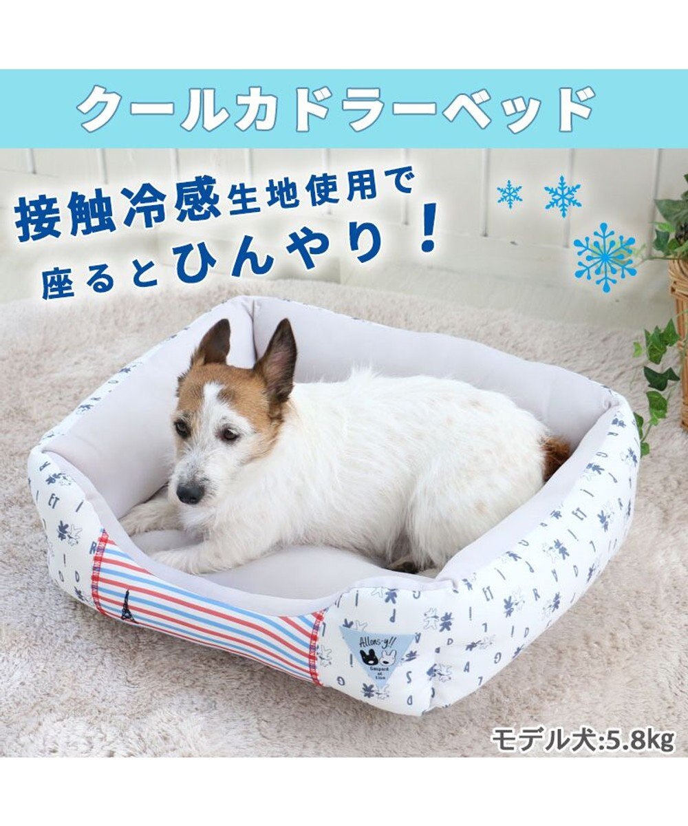 犬 猫 小型犬 大型犬 涼しい 冷たい マットクッション 犬用ベッド 猫用ベッド ペットベッド ふわふわ ペット用品 室内 ハウス 夏 可愛い 冷えマット 洗える 冷感 人気ブランド新作豊富 犬 猫 小型犬 大型犬 涼しい 冷たい マットクッション 犬用ベッド 猫用ベッド ペットベッド ふわふわ ペット用品 室内 ハウス 夏 可愛い 冷えマット 洗える 冷感 人気ブランド新作豊富