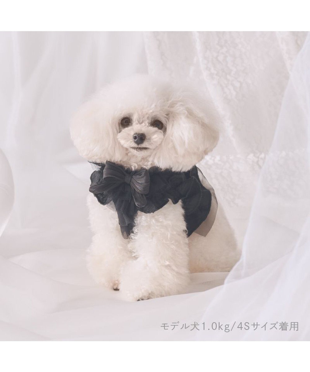 PET PARADISE cherircouture フリフリハーネス 《ブラック》 小型犬 ４Ｓ/３Ｓ 