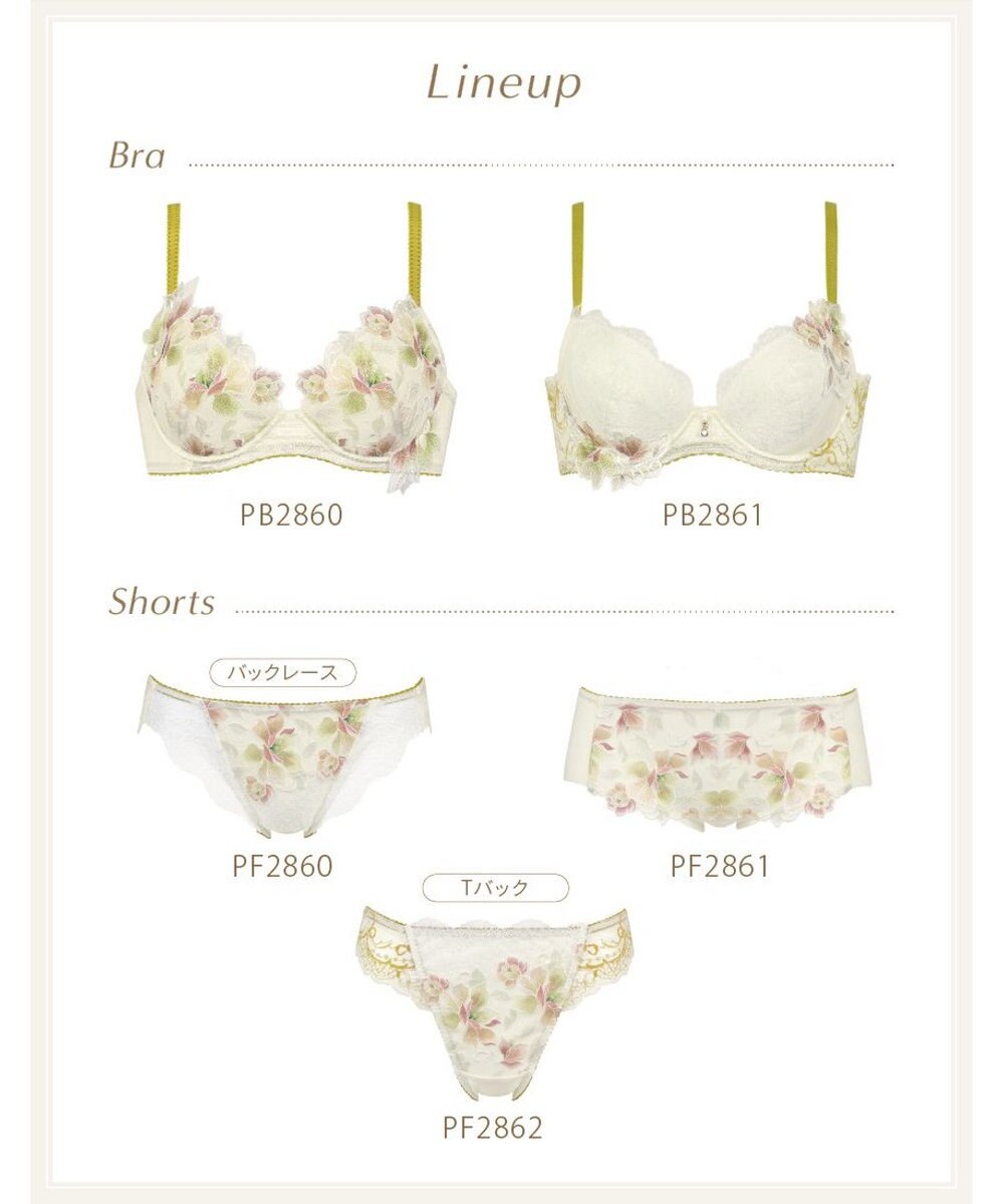 Wing ブラジャー Wing Lesiage ふっくら、まる胸メイク 背中にやさしくフィット 【2860シリーズ】 パッド有 ブラ PB2860 ウイング／ワコール 