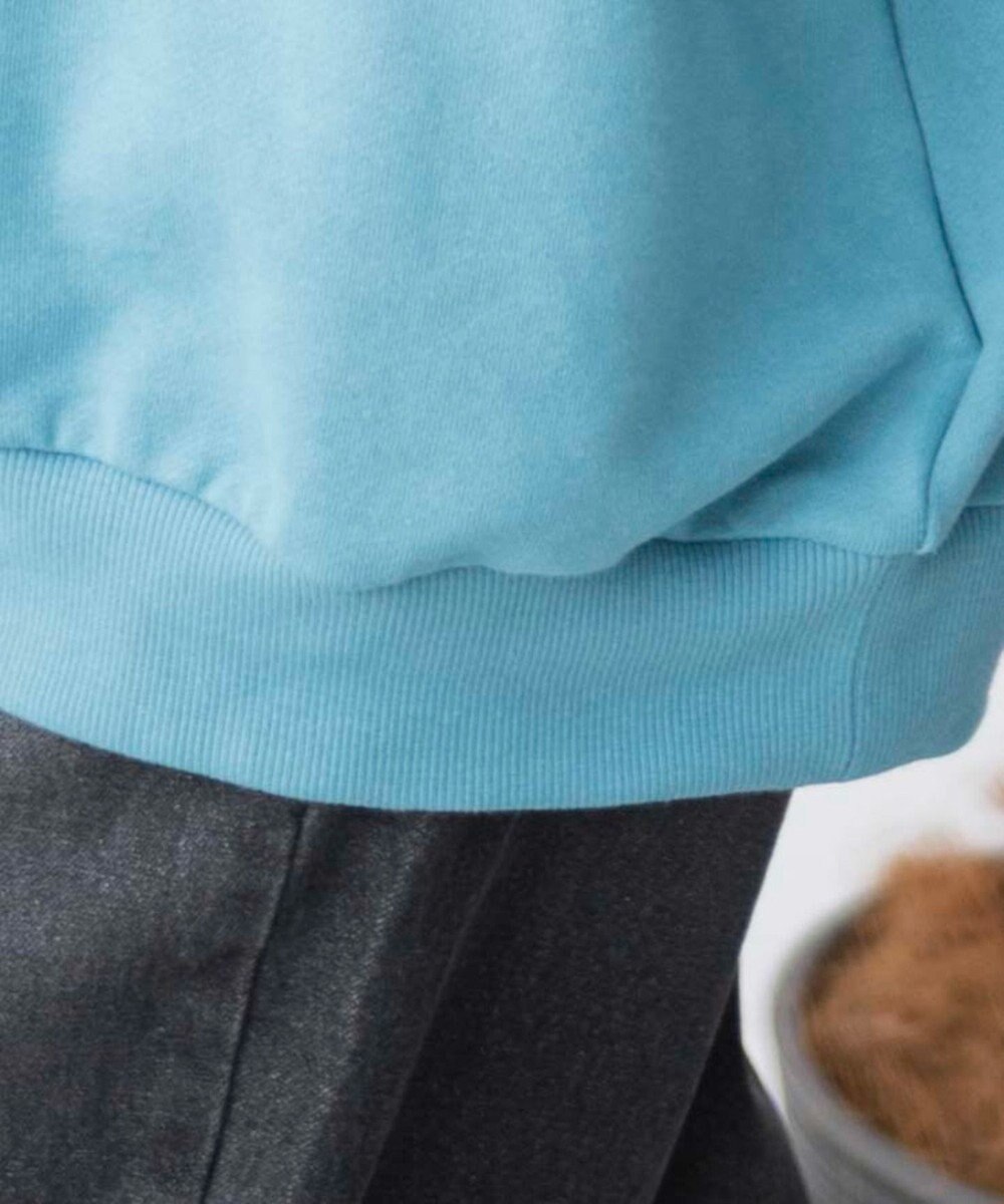 WEGO ハーフジップBIGスウェット 