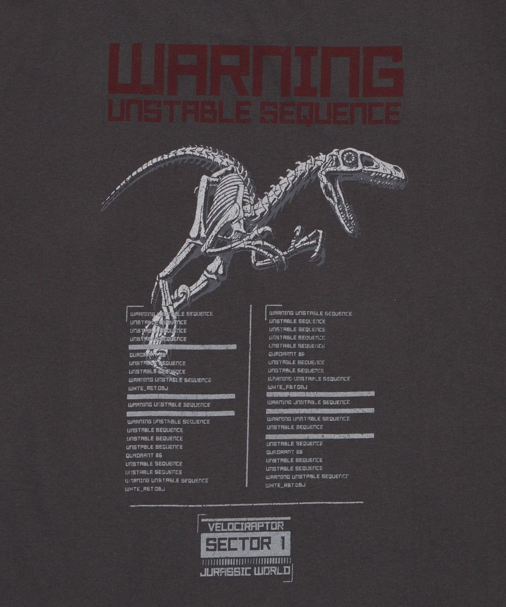 WEGO 【ユニセックス着用ITEM/SMLサイズ展開】JURASSIC　PARKグラフィックT（S） 