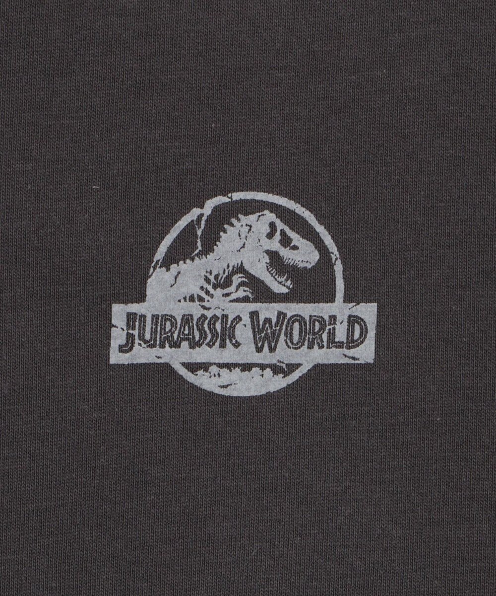 WEGO 【ユニセックス着用ITEM/SMLサイズ展開】JURASSIC　PARKグラフィックT（S） 