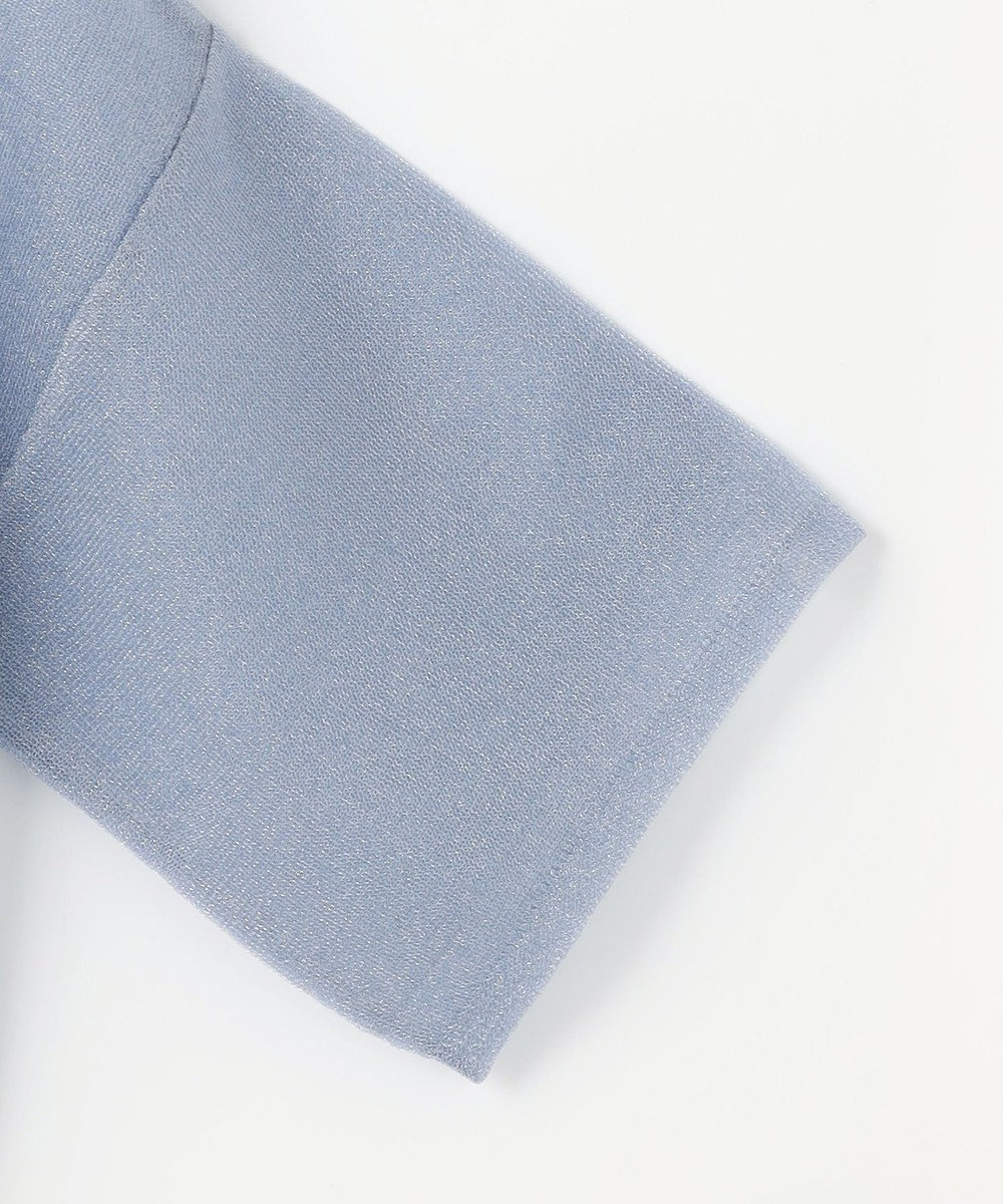 ANY SIS L 【洗える】シアー ニットT 