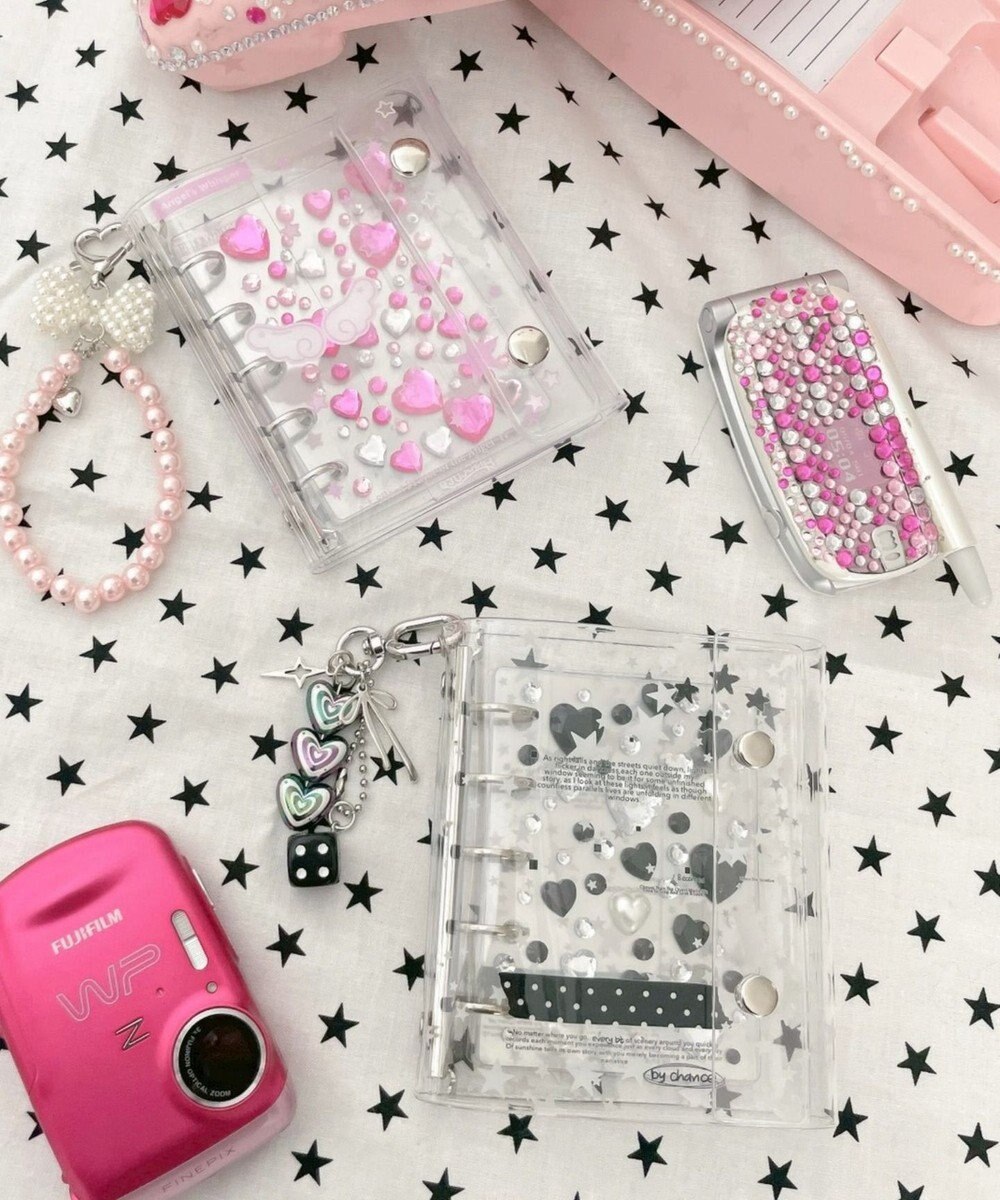 WEGO クリアグラフィックシールバインダー 