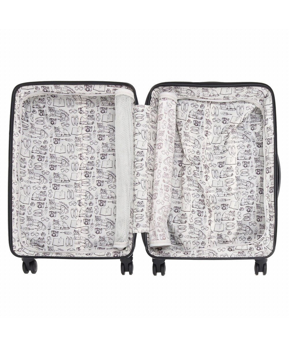 ACE BAGS & LUGGAGE HAyU × ace.  パキラ スーツケース 48L 05782 エース 