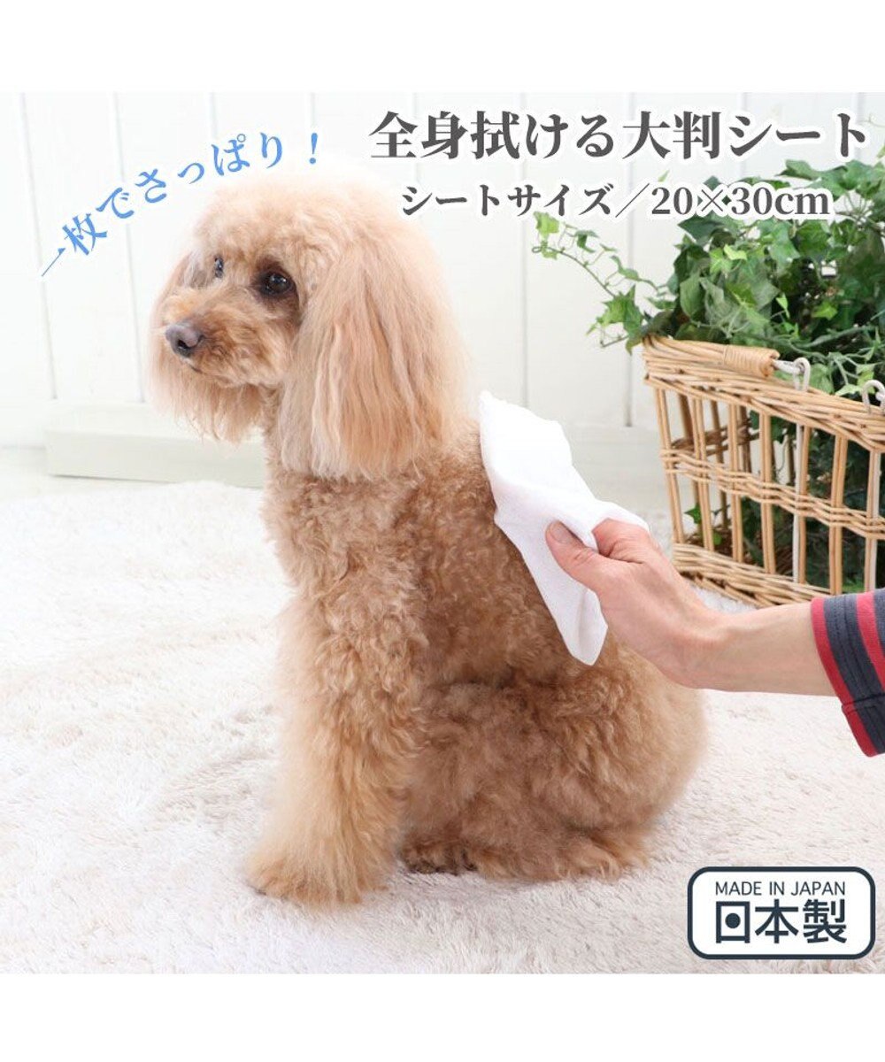 PET PARADISE ペットパラダイス クール  ボディタオル 20枚入り 