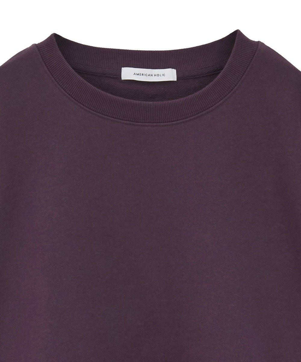 AMERICAN HOLIC 裏毛クロップドプルオーバー 