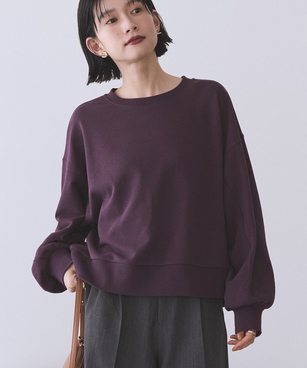 AMERICAN HOLIC 裏毛クロップドプルオーバー 