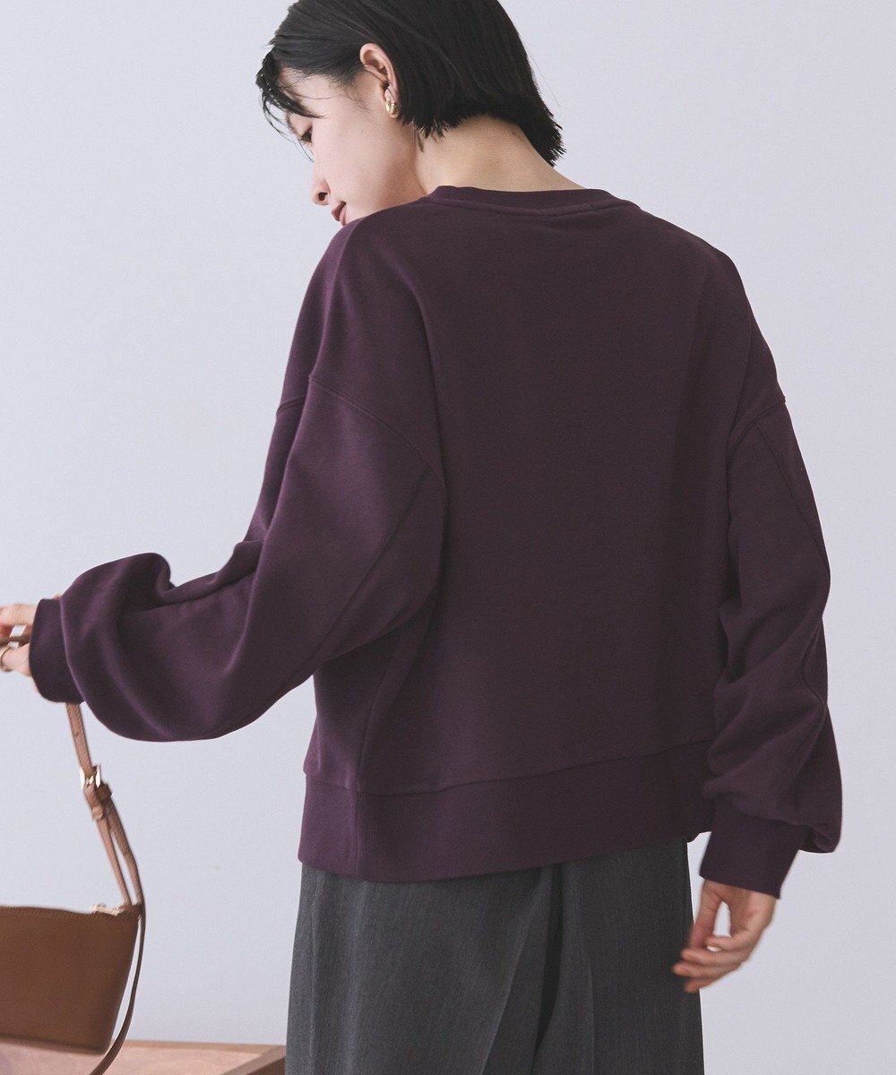 AMERICAN HOLIC 裏毛クロップドプルオーバー 