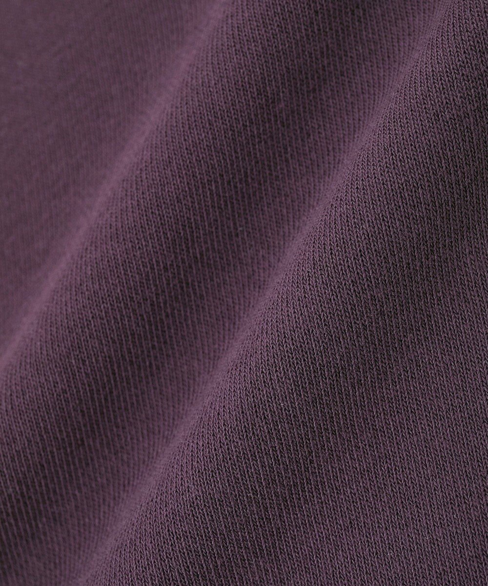 AMERICAN HOLIC 裏毛クロップドプルオーバー 