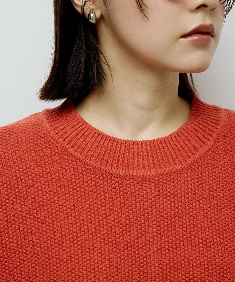 Green Parks かのこ編モックネックニットプルオーバー 