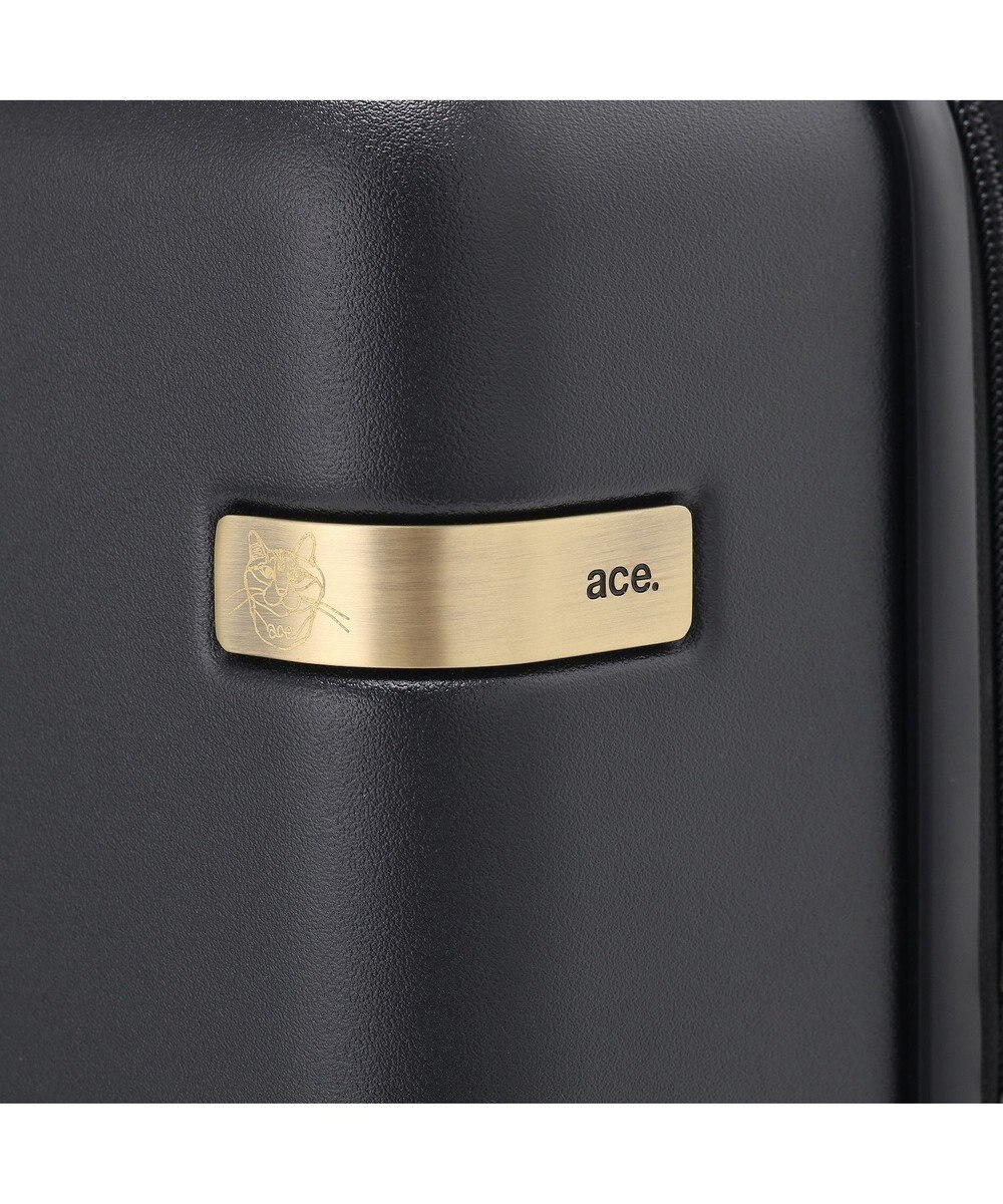 ACE BAGS & LUGGAGE HAyU × ace.  パキラ スーツケース 48L 05782 エース 