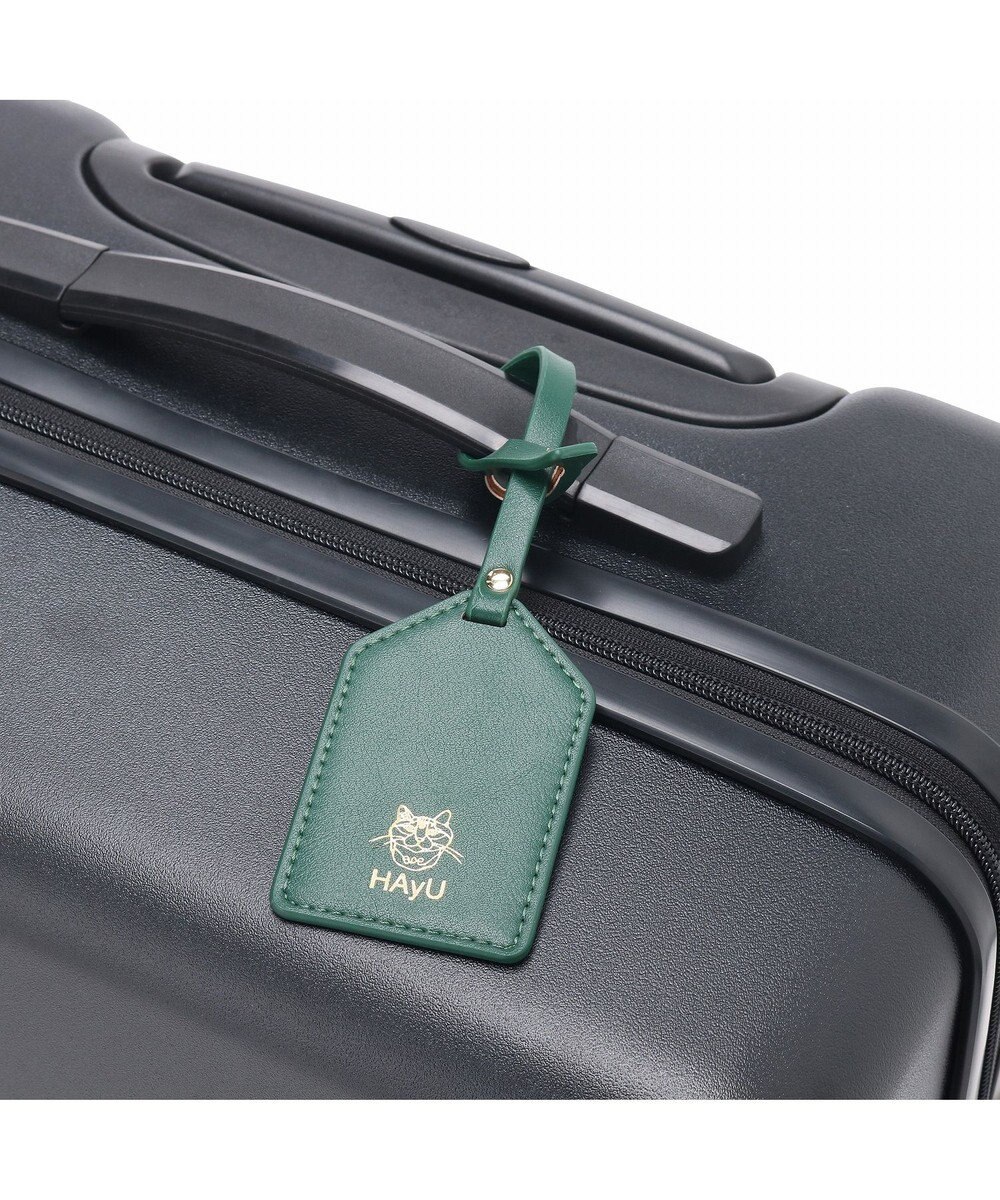 ACE BAGS & LUGGAGE HAyU × ace.  パキラ スーツケース 48L 05782 エース 