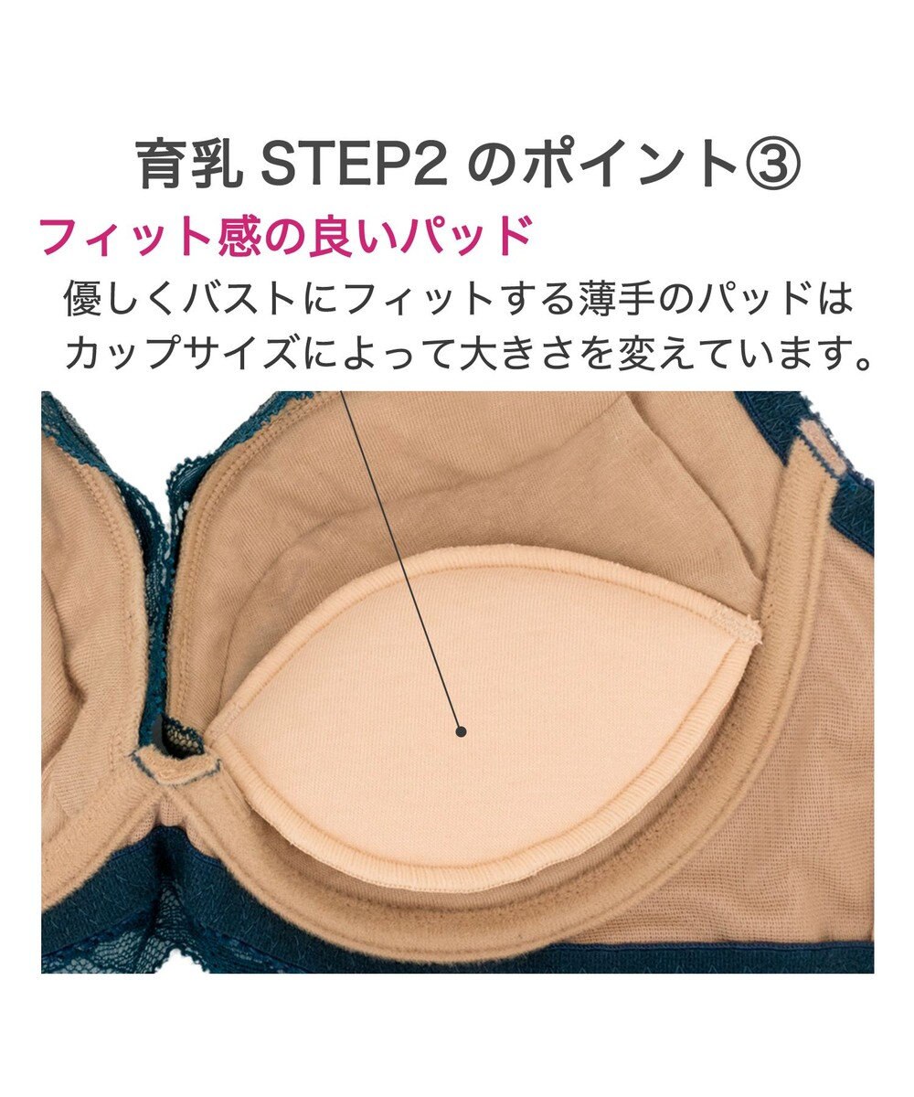 BRADELIS New York 【BRADELIS New York/ ワイヤー 育乳補整ブラ】ナオミステップ2ブラ24A2 ブラデリス 補正 ブラジャーSTEP2 寄せる 