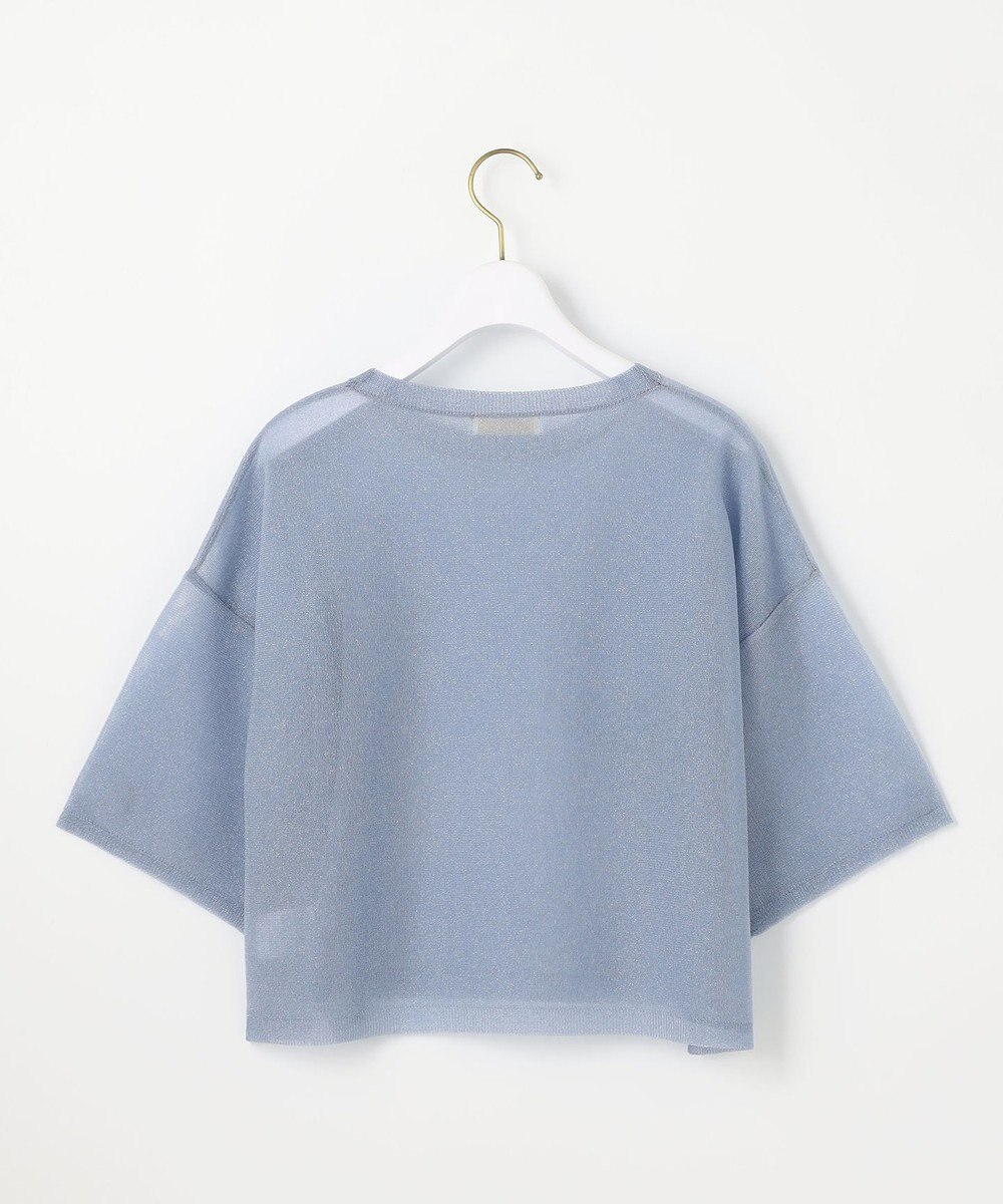 ANY SIS L 【洗える】シアー ニットT 