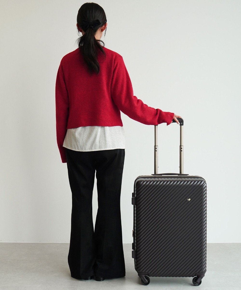 ACE BAGS & LUGGAGE 【雑誌掲載】 HaNT×Jewelna Rose コラボ スーツケース Mサイズ 06822 ハント ジュエルナローズ 