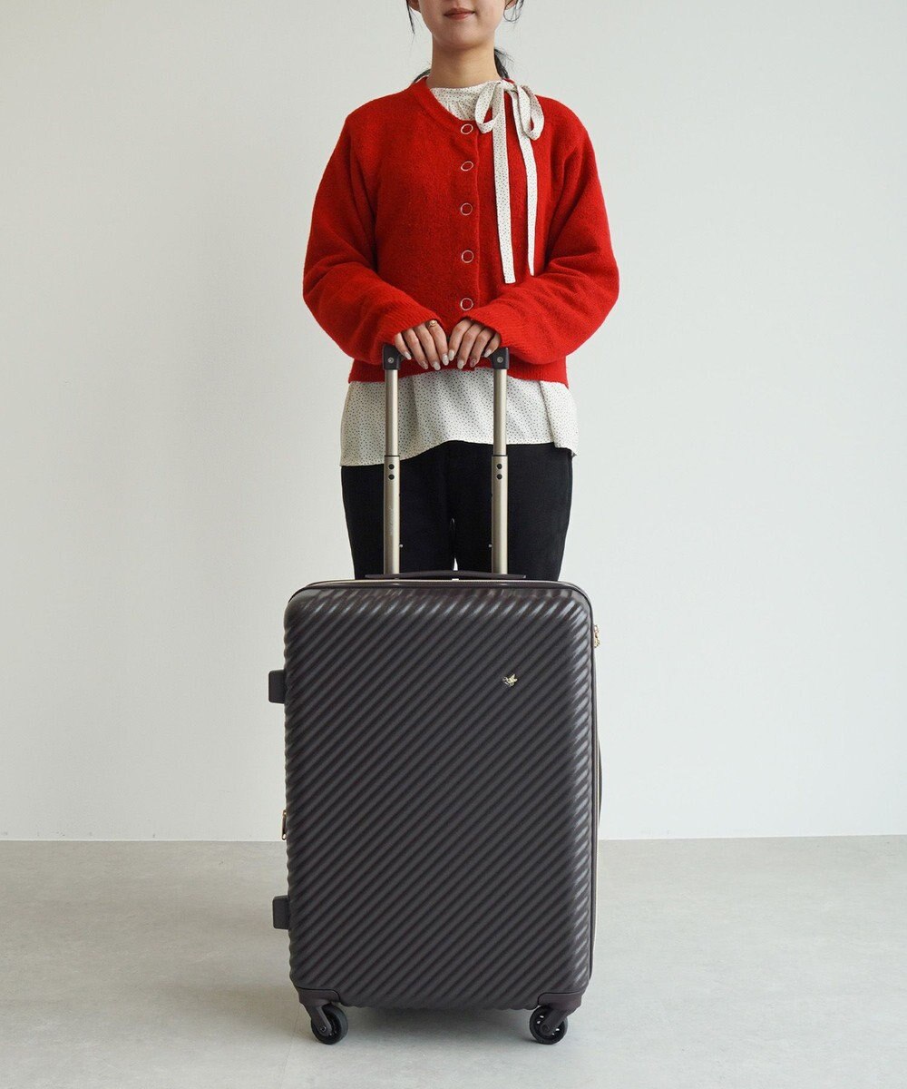 ACE BAGS & LUGGAGE 【雑誌掲載】 HaNT×Jewelna Rose コラボ スーツケース Mサイズ 06822 ハント ジュエルナローズ 