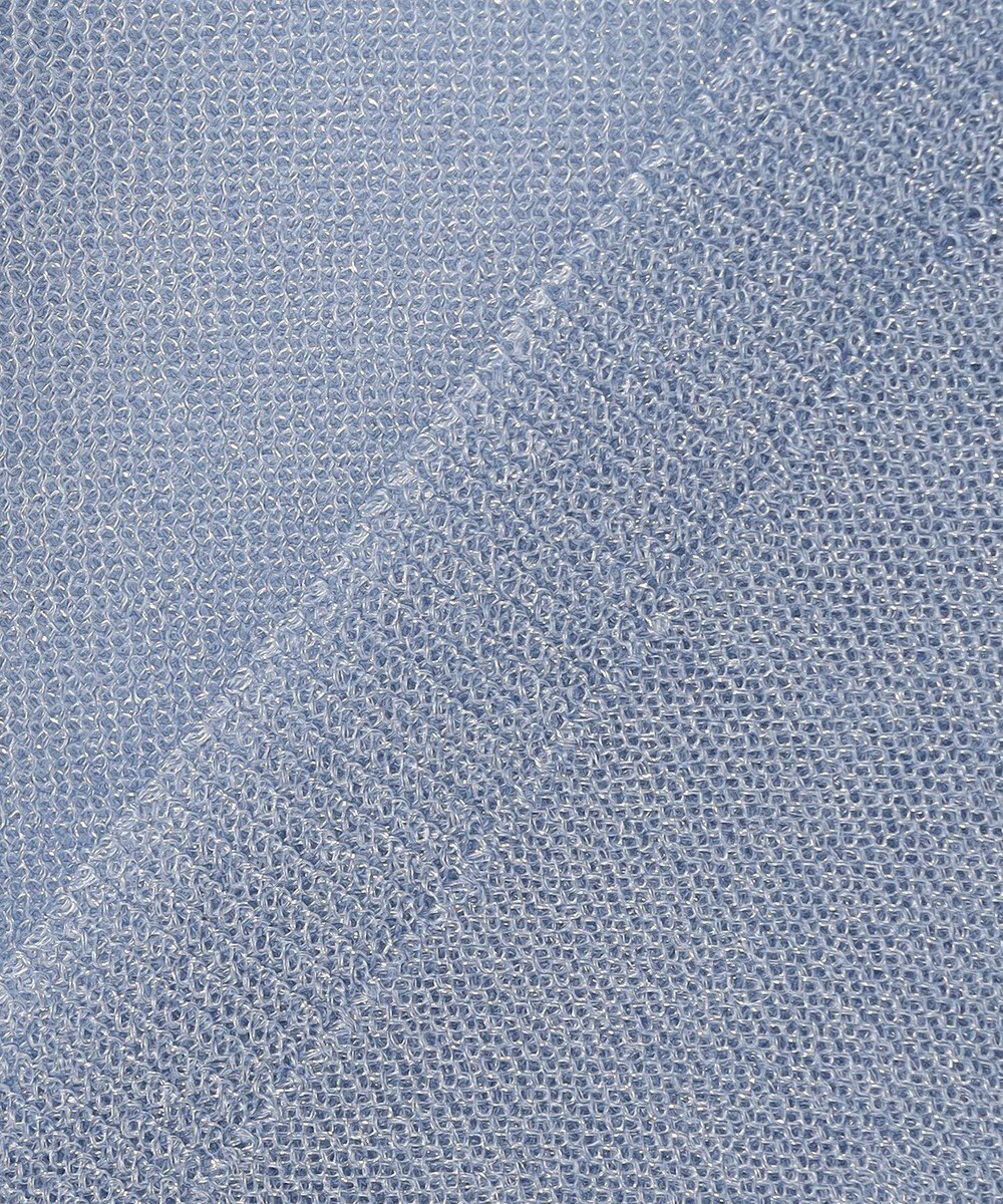 ANY SIS L 【洗える】シアー ニットT 