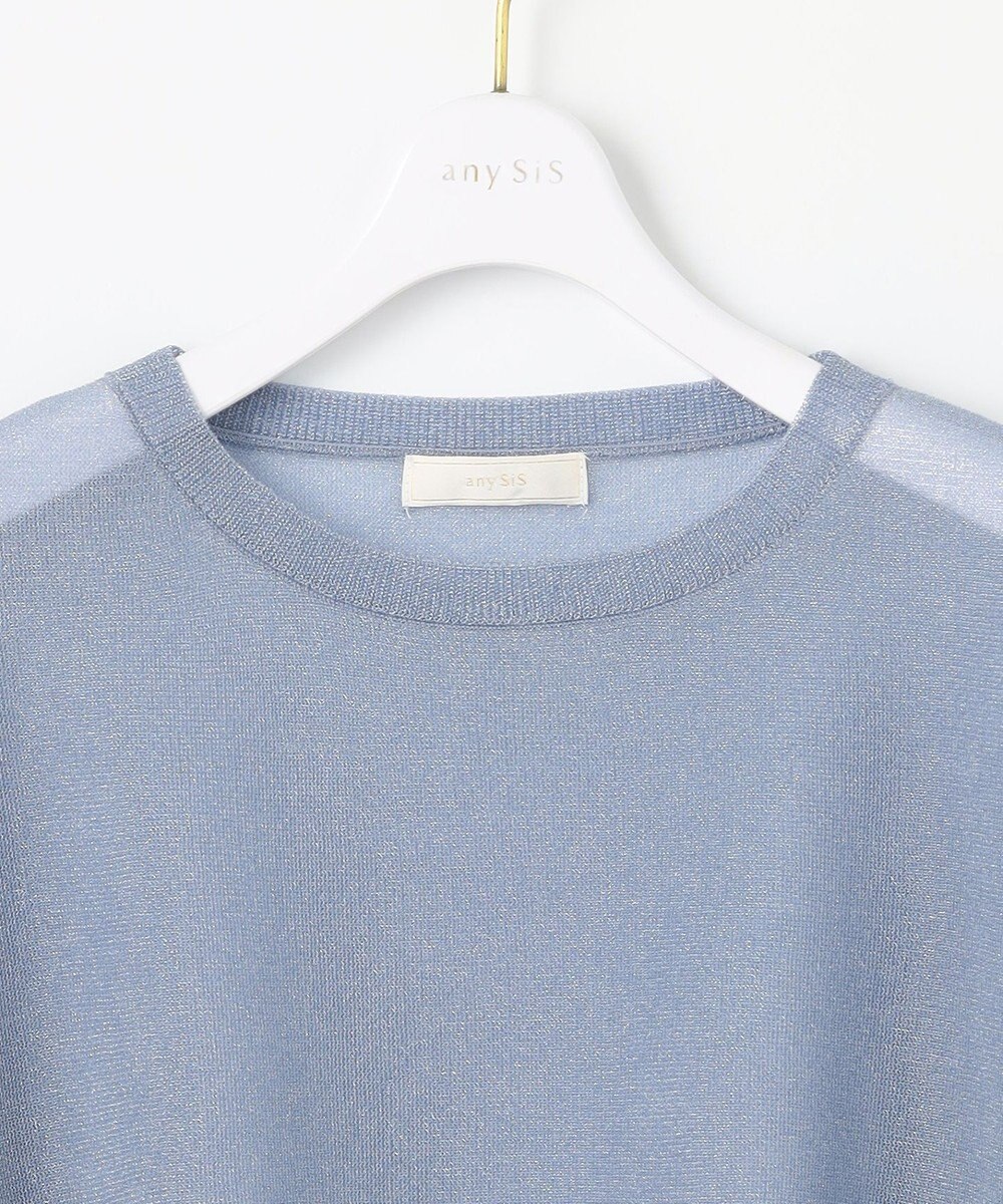 ANY SIS L 【洗える】シアー ニットT 