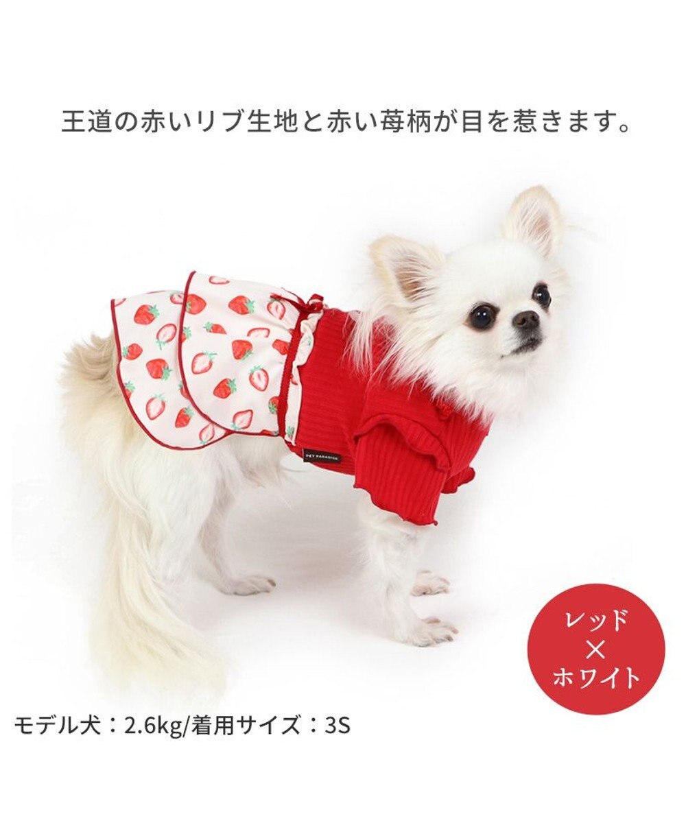 PET PARADISE 犬の服 犬 ワンピース 【小型犬】 苺柄 リブ ピンク レッド 