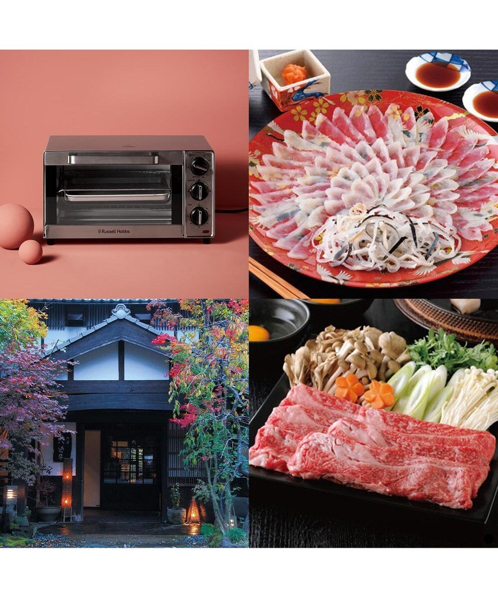 antina gift studio ベストコレクション ＜Saintpaulia-(セントポーリア)＞ 