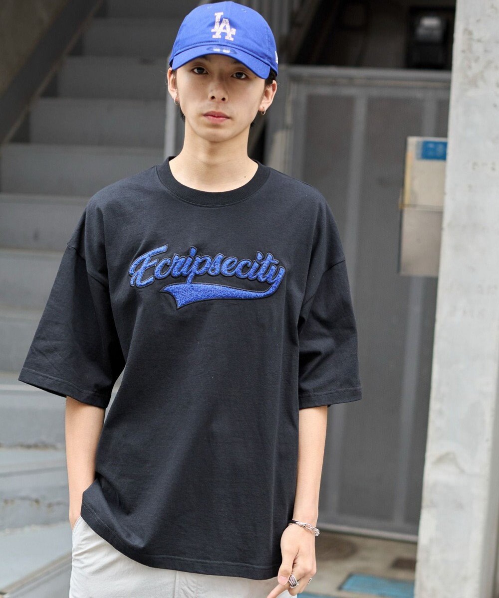 WEGO 【ユニセックス着用アイテム/MLサイズ展開】サガラワッペンロゴBIG　T（SS） 