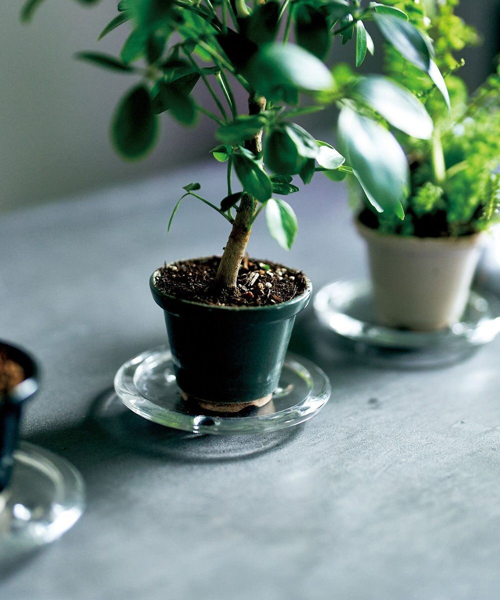 aito製作所 景　植木鉢小 