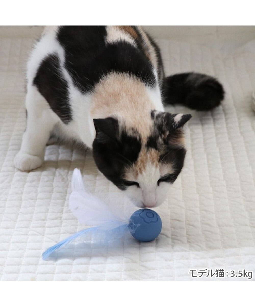 PET PARADISE ペットパラダイス 猫シリコン ボール 《ブルー》 