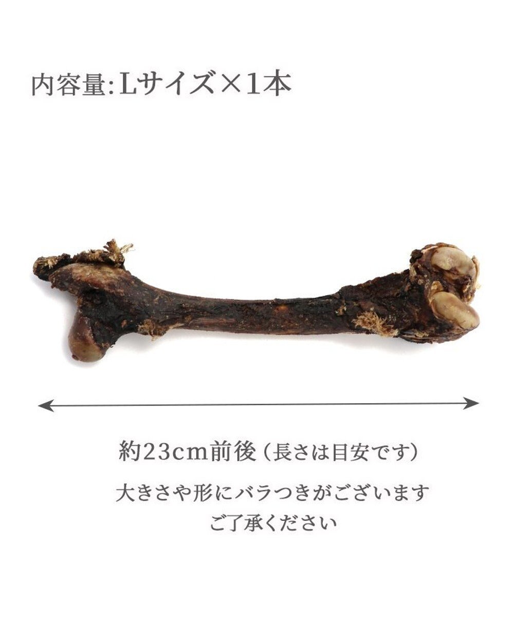 PET PARADISE 鹿 げん骨 デンタルおやつ Lサイズ×1本 純国産 