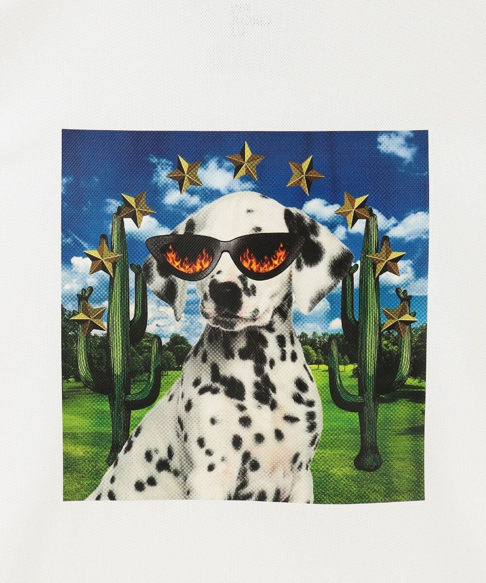 PW CIRCULUS 【WOMEN】【吸汗速乾】アニマル フォト ポロシャツ 