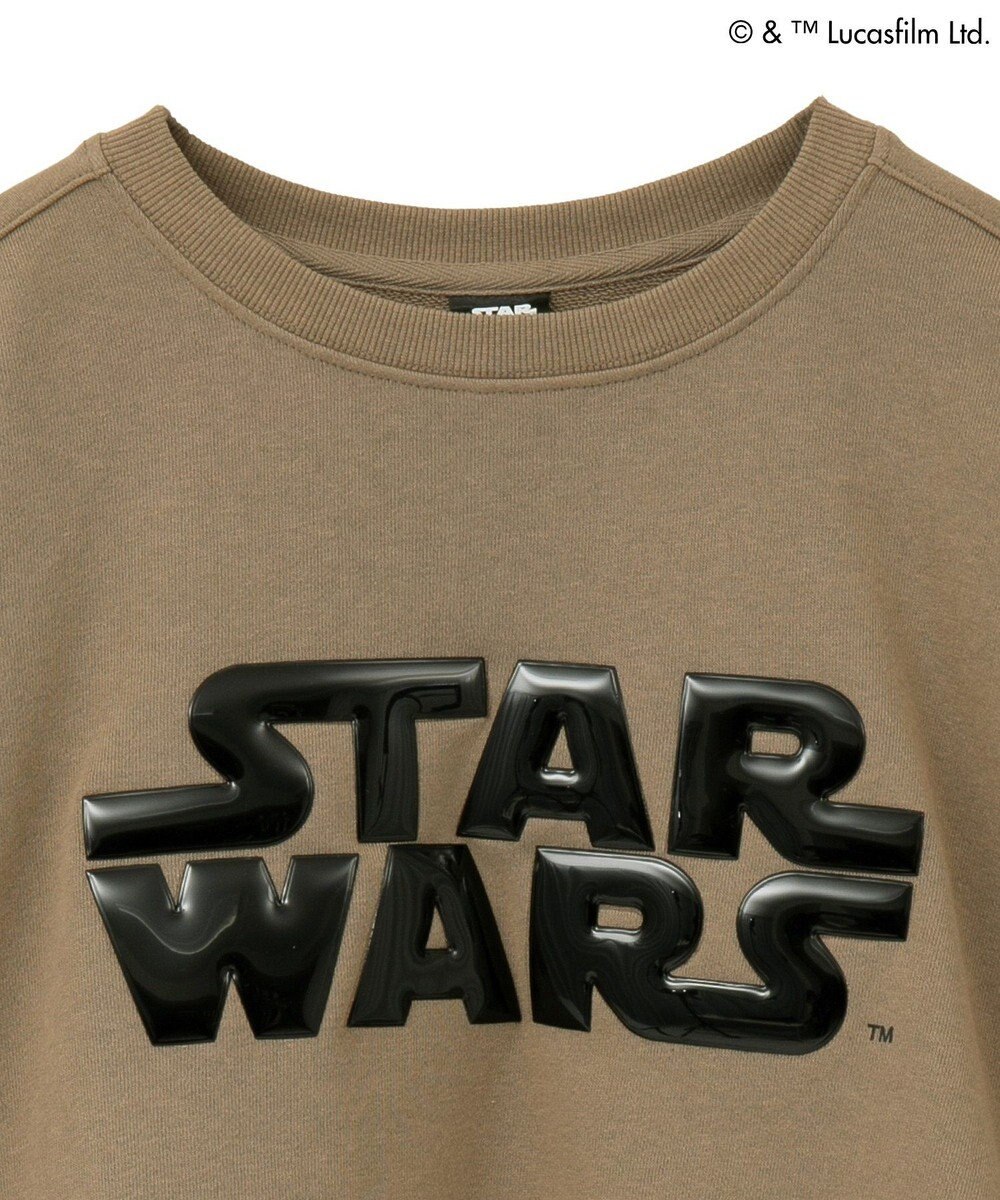 Green Parks ＳＴＡＲ　ＷＡＲＳ／メタルプリントスウェット 