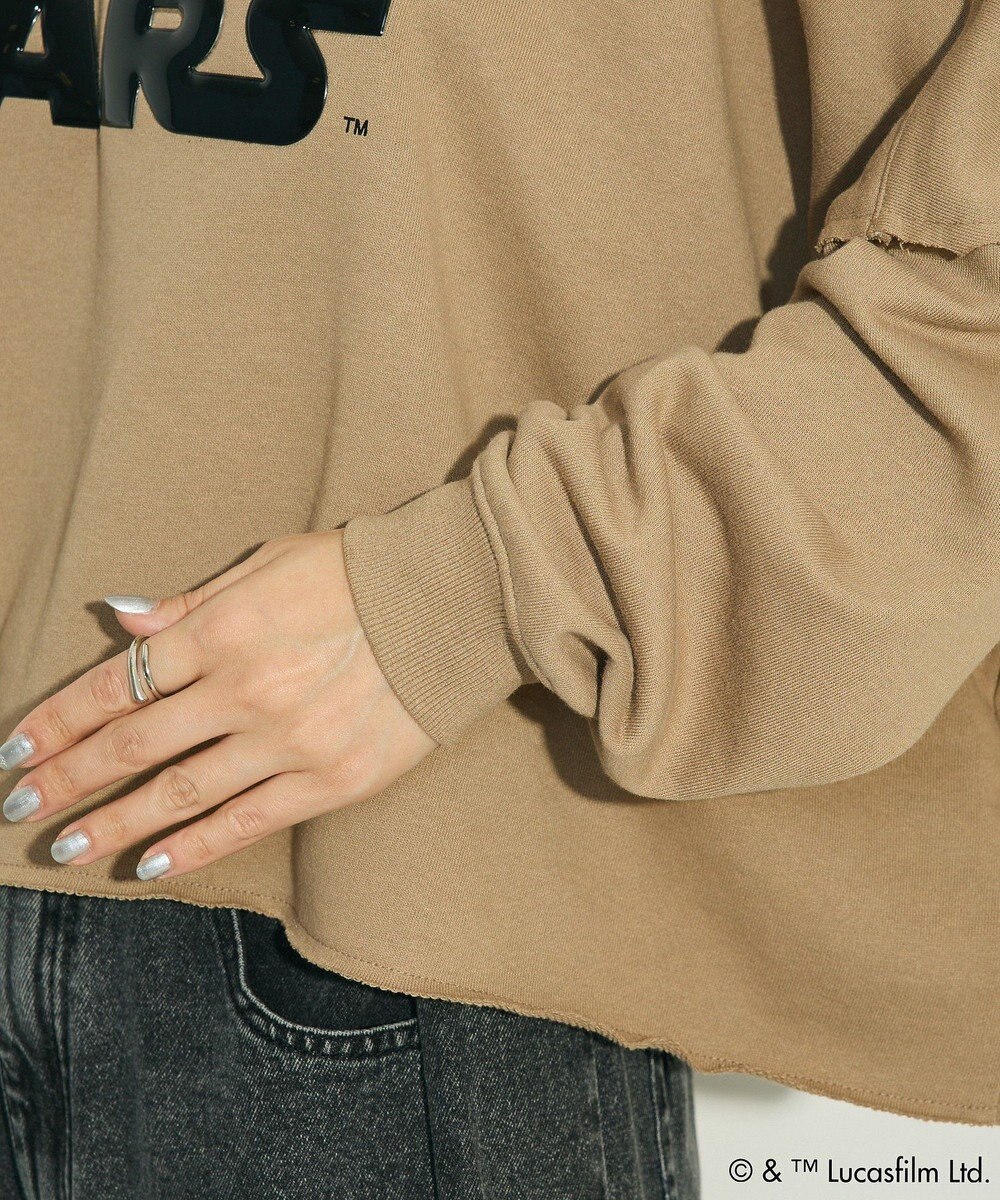 Green Parks ＳＴＡＲ　ＷＡＲＳ／メタルプリントスウェット 