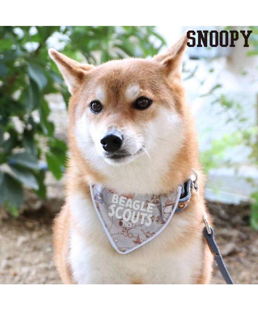 犬 首輪 スヌーピー l 反射 ビーグルスカウト柄 小型犬 おさんぽ おでかけ お出掛け おしゃれ オシャレ かわいい Pet Paradise ファッション通販 公式通販 オンワード クローゼット 犬 首輪 スヌーピー l 反射 ビーグルスカウト柄 小型犬 おさんぽ おでかけ お出掛け おしゃれ オシャレ かわいい Pet Paradise ファッション通販 公式通販 オンワード クローゼット