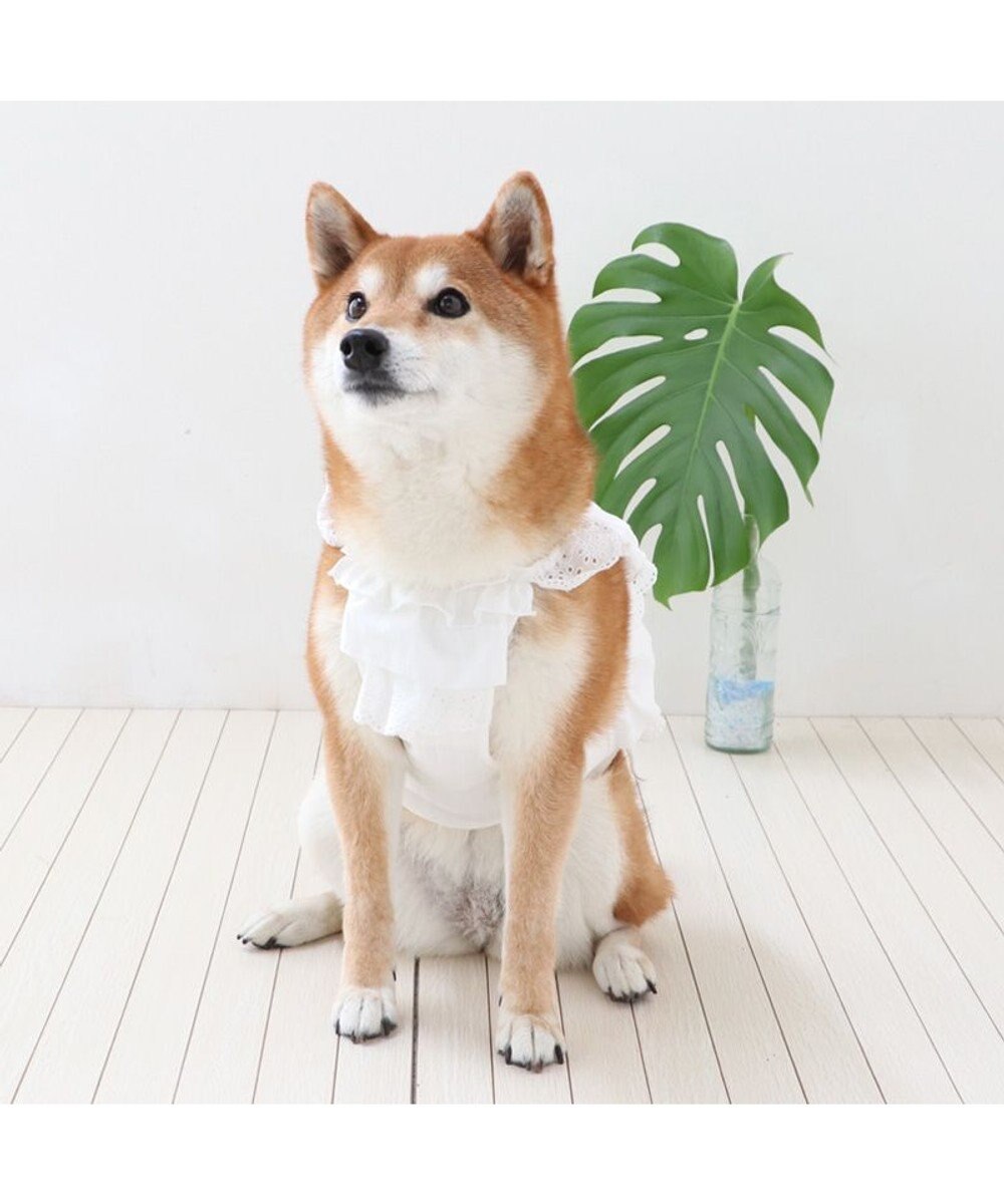 PET PARADISE ペットパラダイス ポケットクール ビスチェ 中型犬 