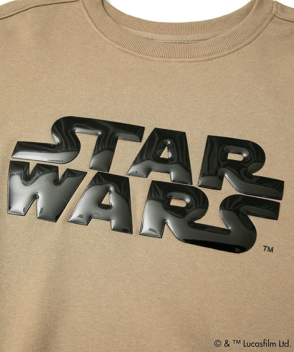 Green Parks ＳＴＡＲ　ＷＡＲＳ／メタルプリントスウェット 