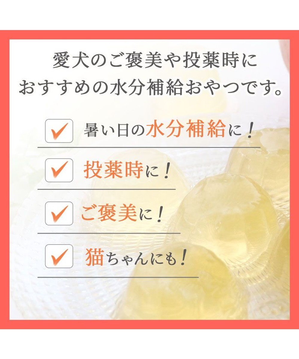 PET PARADISE りんごゼリー 8個入り 